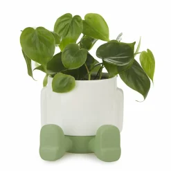 Balvi Bloempot mr. Sitty