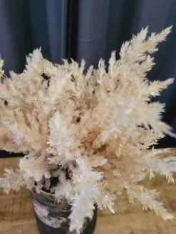 Countryfield Astilbe boeket met LED verlichting lichtbruin Outlet