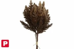 Countryfield Astilbe boeket met LED verlichting donkerbruin Sale