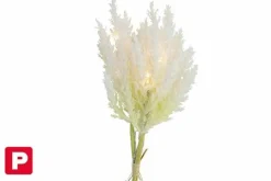 Countryfield Astilbe boeket met LED verlichting wit Clearance