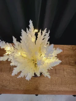 Countryfield Astilbe boeket met LED verlichting wit Clearance