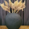 Countryfield Astilbe lichtbruin Sale