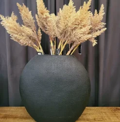 Countryfield Astilbe lichtbruin Sale