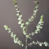 Countryfield Eucalyptus groen 1