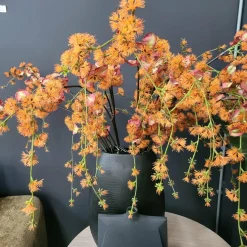 Countryfield Kunstbloem Akebia L oranje Sale