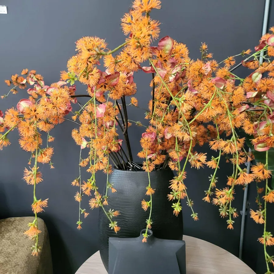 Countryfield Kunstbloem Akebia L oranje Sale