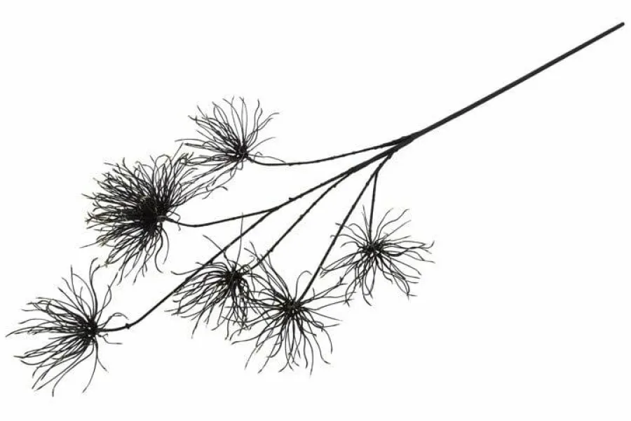 Countryfield Kunstbloem Grevillea M zwart Online