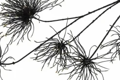 Countryfield Kunstbloem Grevillea M zwart Online