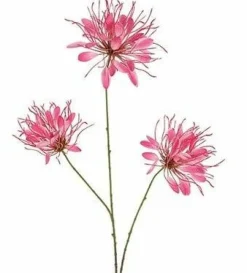 Countryfield Kunstbloem Lycoris donkerroze - L 12 x B 8 x H 94 CM Online