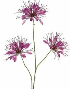 Countryfield Kunstbloem Lycoris paars - L 12 x B 8 x H 94 CM Clearance