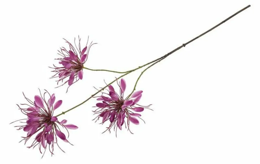Countryfield Kunstbloem Lycoris paars - L 12 x B 8 x H 94 CM Clearance
