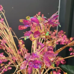 Countryfield Kunstbloem wild Hortensia M paars i-L138B43H85CM Sale