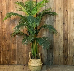 Countryfield Kunstplant Areca L groen 160 cm Sale