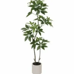 Countryfield Kunstplant in pot Pachira groen-L 25 x B 25 x H 190 CM Hot