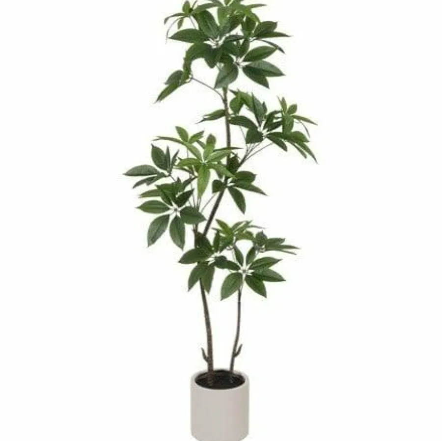 Countryfield Kunstplant in pot Pachira groen-L 25 x B 25 x H 190 CM Hot