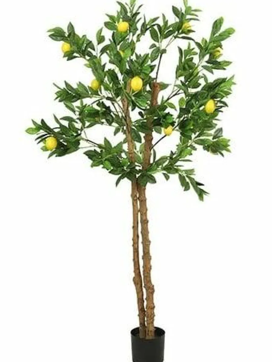 Countryfield Kunstplant Limon groen citroen 170 cm hoog Hot