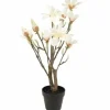 Countryfield Kunstplant Magnolia S wit 54 cm hoog Sale
