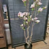 Countryfield Kunstplant Magnolia L roze / wit - 220 cm hoog Hot