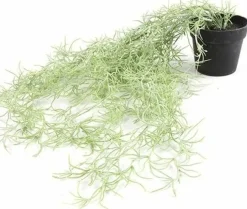 Countryfield Kunstplant Tillandsia groen