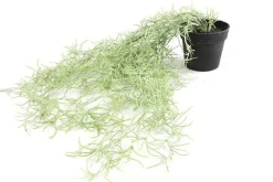 Countryfield Kunstplant Tillandsia groen