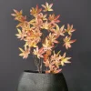 Countryfield Kunsttak Acer Palmatum Roze L Online
