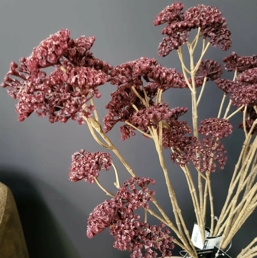 Countryfield Kunsttak Achillea paars Best