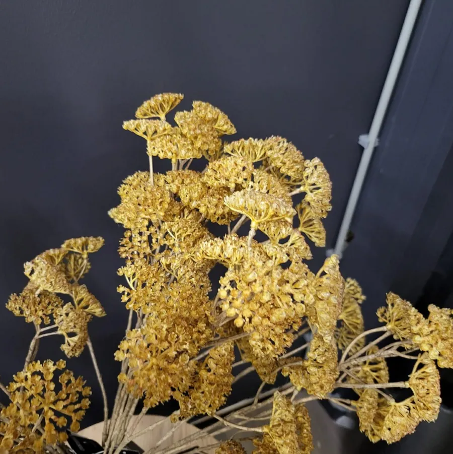 Countryfield Kunsttak Achillea geel Online