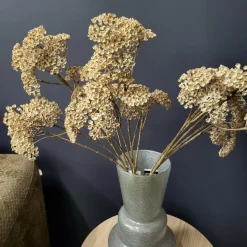 Countryfield Kunsttak Achillea creme Online