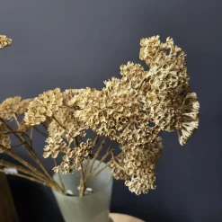Countryfield Kunsttak Achillea creme Online
