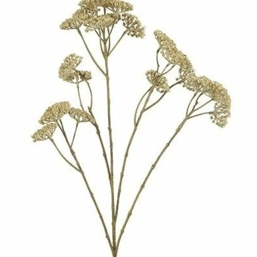Countryfield Kunsttak Achillea creme Online