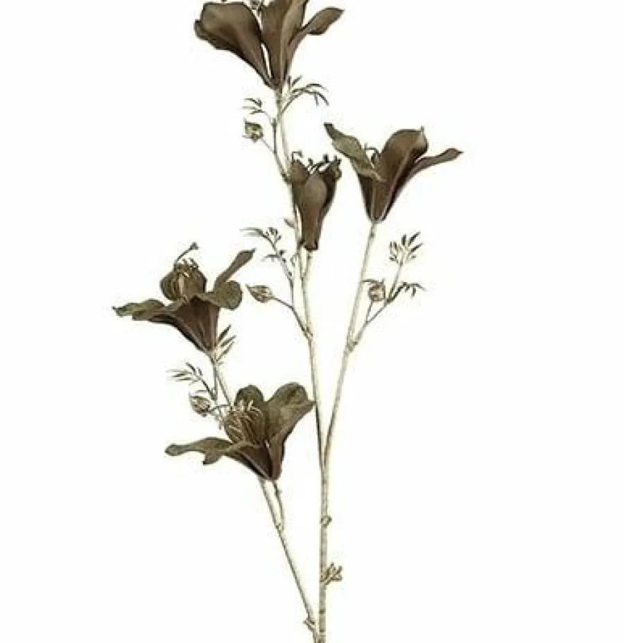 Countryfield Kunsttak Bauhinia bruin Discount