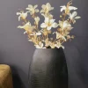 Countryfield Kunsttak Bauhinia Creme Best