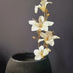 Countryfield Kunsttak Bauhinia Creme Best