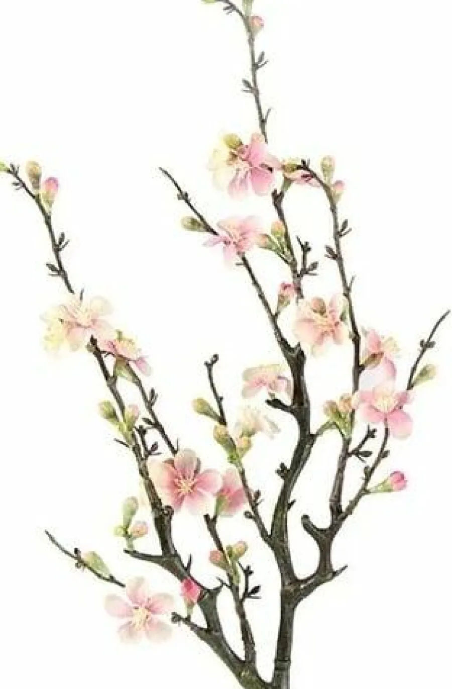 Countryfield Kunsttak Bloesem Quince S roze Discount