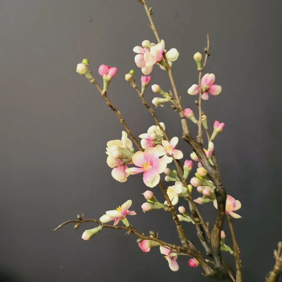 Countryfield Kunsttak Bloesem Quince S roze Discount