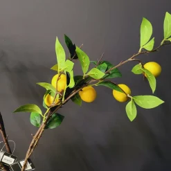 Countryfield Kunsttak Citrus lemon geel Online