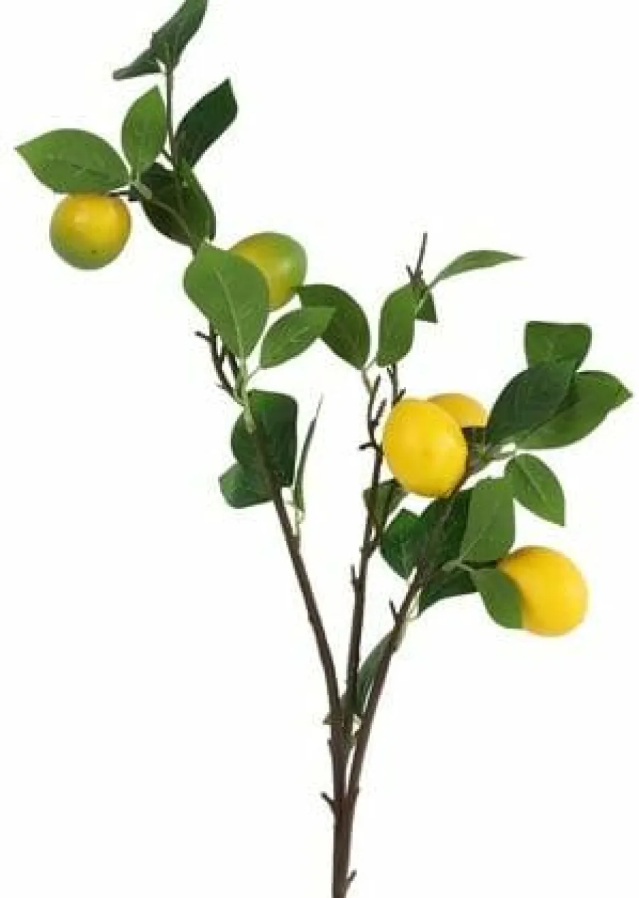 Countryfield Kunsttak Citrus lemon geel Online