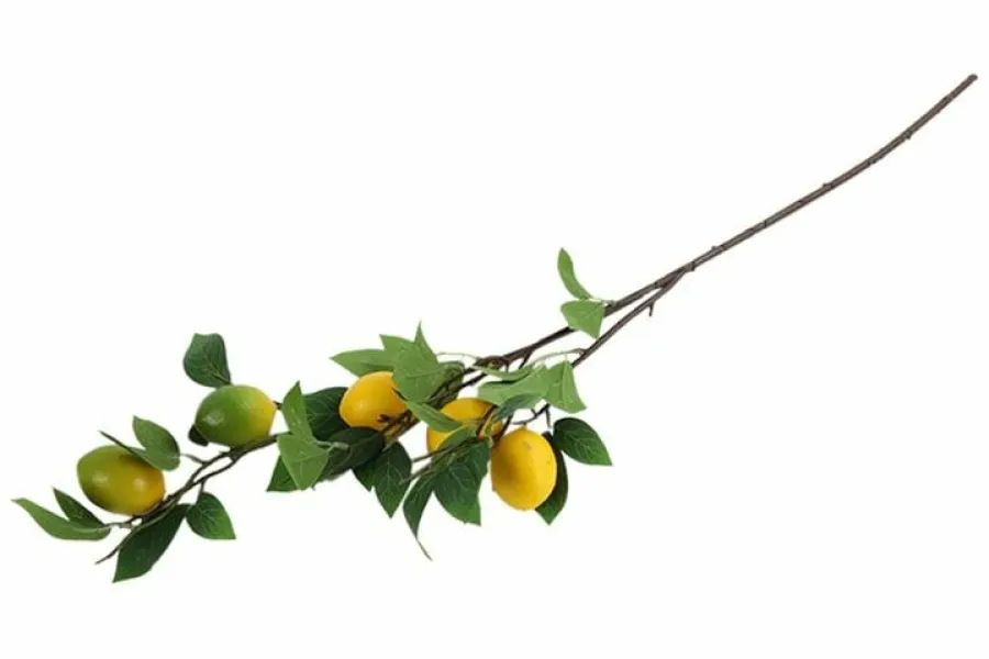 Countryfield Kunsttak Citrus lemon geel Online