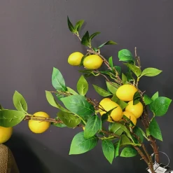 Countryfield Kunsttak Citrus lemon geel Online