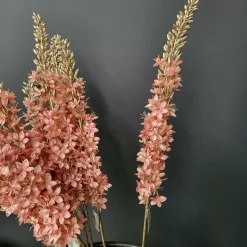 Countryfield Kunsttak Eremurus roze Online