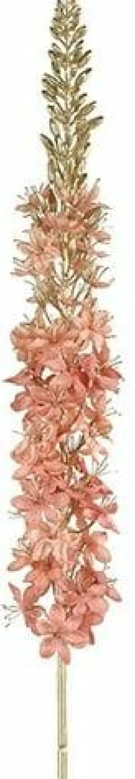 Countryfield Kunsttak Eremurus roze Online