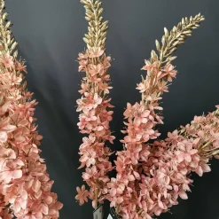 Countryfield Kunsttak Eremurus roze Online