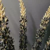 Countryfield Kunsttak Eremurus zwart New