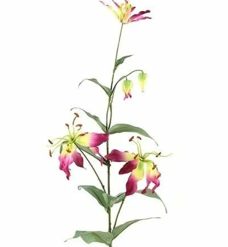 Countryfield Kunsttak Gloriosa aubergine New