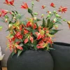 Countryfield Kunsttak Gloriosa oranje New