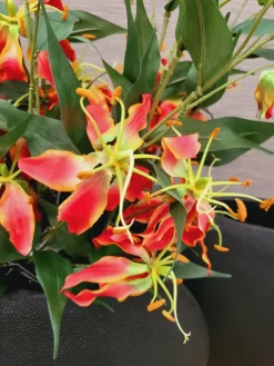 Countryfield Kunsttak Gloriosa oranje New
