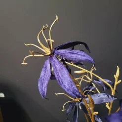 Countryfield Kunsttak Gloriosa donkerblauw Clearance