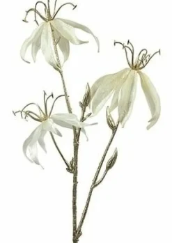 Countryfield Kunsttak Gloriosa S crème New