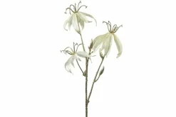 Countryfield Kunsttak Gloriosa S crème New