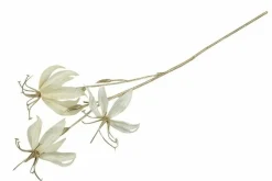 Countryfield Kunsttak Gloriosa S crème New